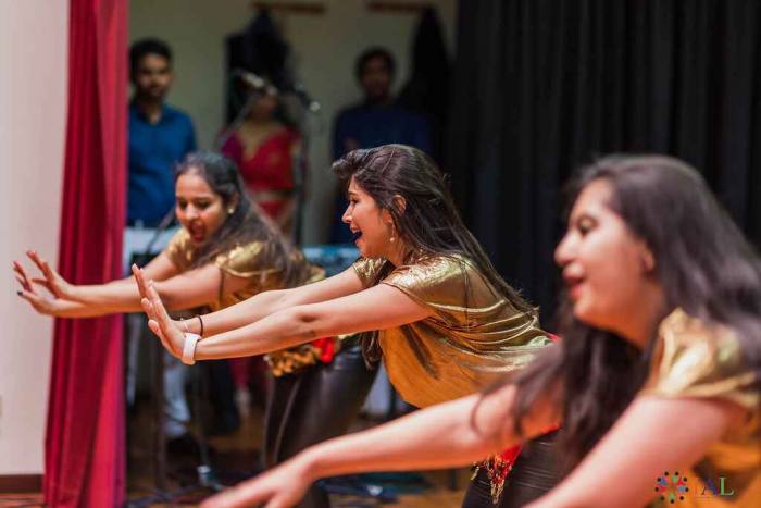 AILDiwaliGala-November2023©MarcelaHernoux-462