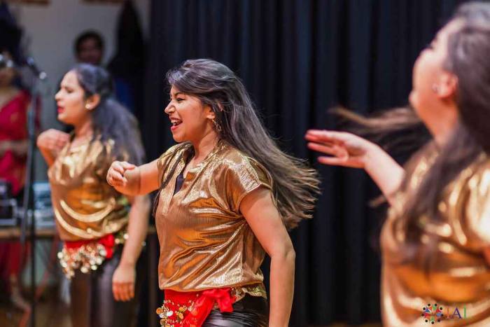 AILDiwaliGala-November2023©MarcelaHernoux-463